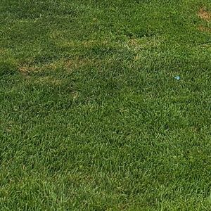 Meet your Posher, Omar